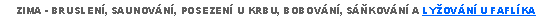 Text Box: ZIMA - BRUSLENÍ, SAUNOVÁNÍ, POSEZENÍ U KRBU, BOBOVÁNÍ, SÁŇKOVÁNÍ A LYŽOVÁNÍ U FAFLÍKA
